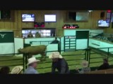 " VJV Auction  "