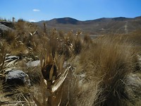 DSCN1094