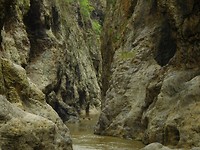 DSCN2418