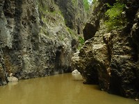 DSCN2419