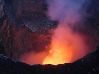 DSCN2429