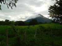 DSCN2441