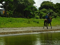 DSCN2451