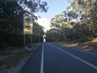 Koalas, kangoeroes en fietsers