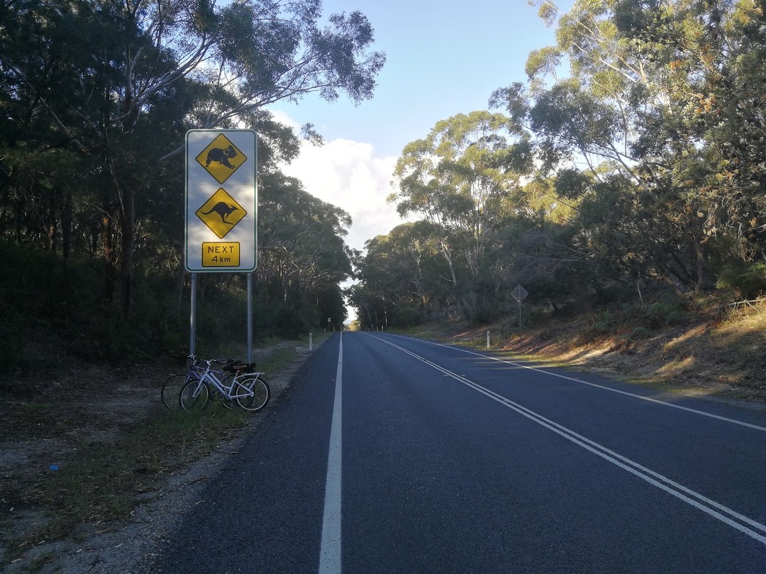 Koalas, kangoeroes en fietsers