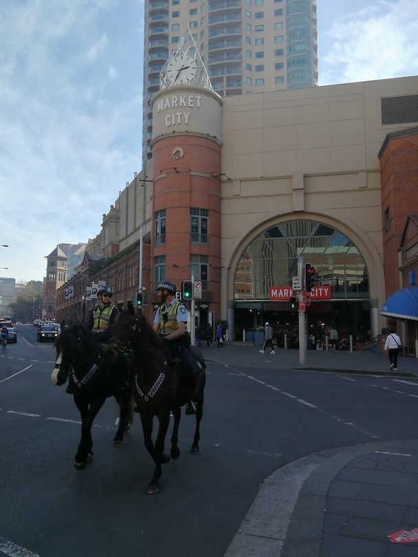 Politiepaarden voor de Paddy's Market