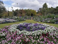 Botanische tuin