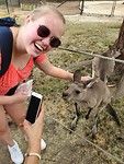 Petting kangaroo