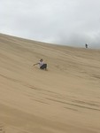 Sandboarden