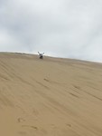 Sandboarden