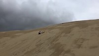 Sandboarden