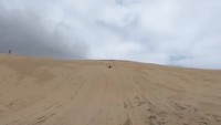 Sandboarden