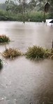 Regen, regen, regen