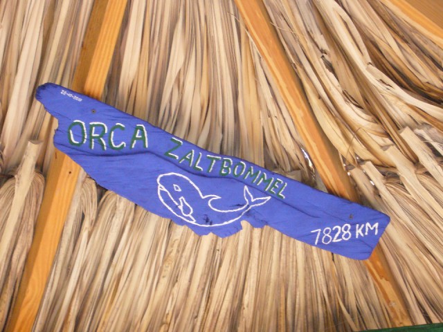 JOSV Orca