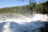 Dawson Falls
