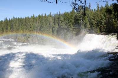 Dawson Falls