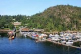 Tofino