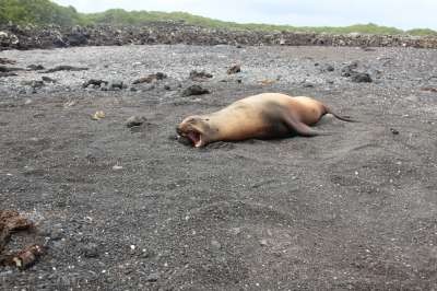 Even rusten op het strand