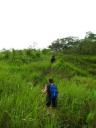 Iban trail