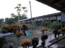 Longhouse
