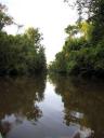 Sungai Kinabatangan rivier