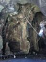 Gomantong Cave
