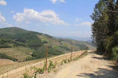 Off road Douro