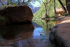 Middle pool