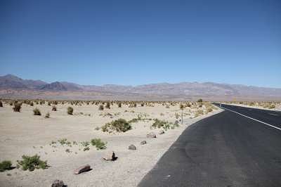 Death Valley 1