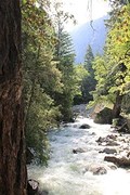 Tenaya creek