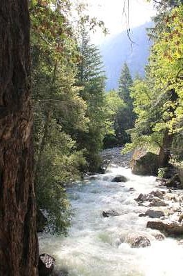 Tenaya creek