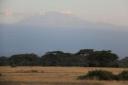 Kilimanjaro