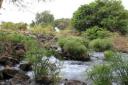 Mzima Spring