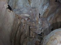 Offerpot Barton Creek Cave