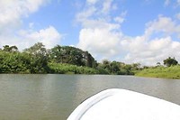 Uitzicht vanaf boot Monkey River