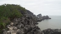 DSC04184