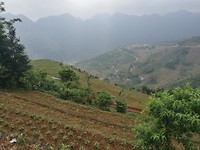 IMG_20180420_135302