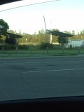 IMG_1721