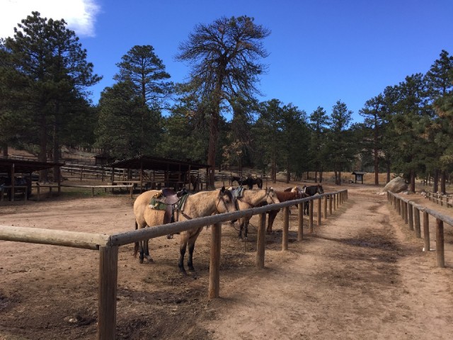De paardenranch