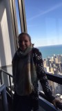 In Willis Tower