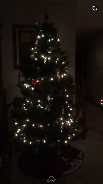 Kerstboom optuigen met Michelle