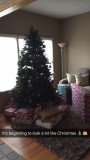 Onze kerstboom