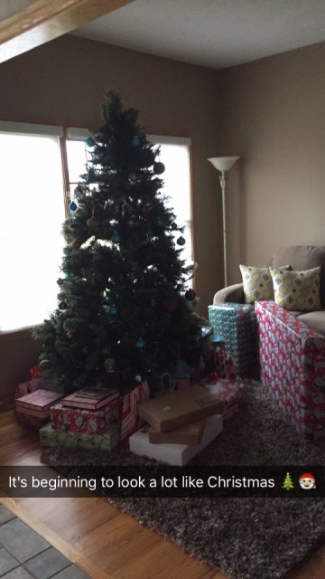 Onze kerstboom