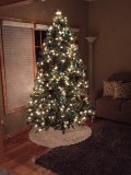 Onze kerstboom