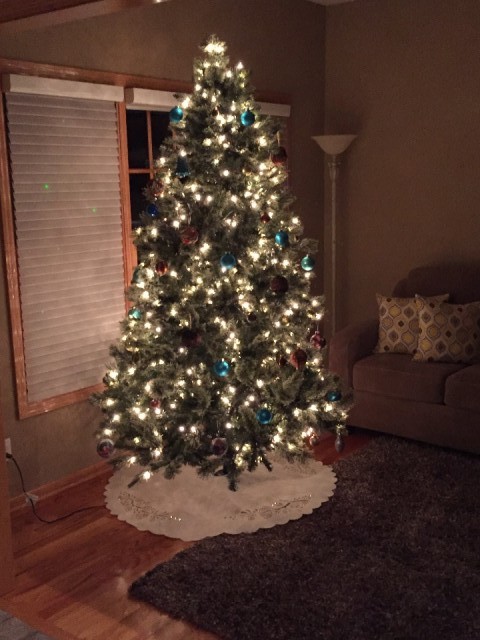 Onze kerstboom