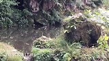Mooi vogeltje!