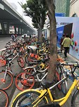 Fietsen fietsen fietsen