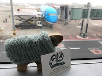 Sheepie en zijn vliegtuig