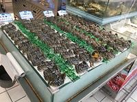 In de supermarkt: kun je zien wat dit is?