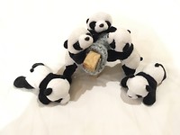 Chengdu, panda-stad! Dus een paar panda’s gekocht die Sheepie gezelschap kunnen houden in onze shop